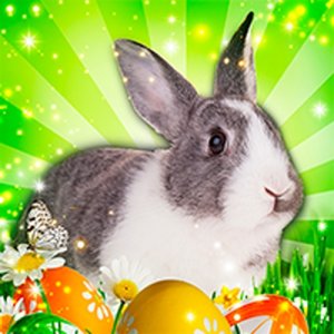 Easter Egg Drop Puzzle - Ludoryx free online game